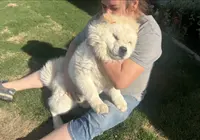 processed/741c4a0b-adef-4856-a2f2-6708ee82397d/listing/ea3f766e-3c47-4115-8b84-8549fa749426/47143728-d5d5-4e50-8136-41f488f69320