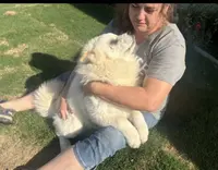 processed/741c4a0b-adef-4856-a2f2-6708ee82397d/listing/ea3f766e-3c47-4115-8b84-8549fa749426/9b7a7cd6-cc8c-4d6d-9390-0ddb0fe7d788