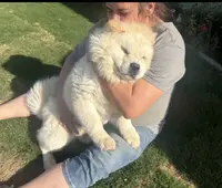 processed/741c4a0b-adef-4856-a2f2-6708ee82397d/listing/ea3f766e-3c47-4115-8b84-8549fa749426/9da0f880-eab9-4073-9dfe-7c6041b46119