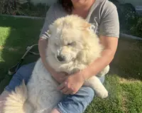 processed/741c4a0b-adef-4856-a2f2-6708ee82397d/listing/ea3f766e-3c47-4115-8b84-8549fa749426/f7d4abd4-15b6-4c9a-971d-034d68b61cb6