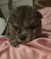 processed/741c4a0b-adef-4856-a2f2-6708ee82397d/listing/f3d27faf-48a6-45bb-998b-2ce0fbcee23b/5f56c838-06ad-4f53-9745-e96424c51e55