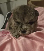 processed/741c4a0b-adef-4856-a2f2-6708ee82397d/listing/f3d27faf-48a6-45bb-998b-2ce0fbcee23b/b5008574-c2cf-42c7-a7a3-481e4c1ee05c