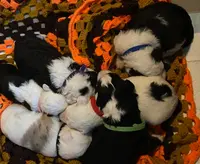 processed/742033f5-c14e-451a-9cfa-635346a6e4d5/listing/3039c738-9b12-4503-8bcd-cfc293c70571/5f57ab58-1cdb-44e9-9810-249318530522