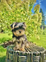 processed/742058a1-e17d-46f9-9e86-e82ef0ffad5e/facility/4b7ee529-d9d3-4189-994a-74dda82f3378