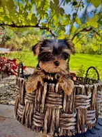 processed/742058a1-e17d-46f9-9e86-e82ef0ffad5e/facility/56aec022-8dfe-4f28-83bb-2de92ca37d11