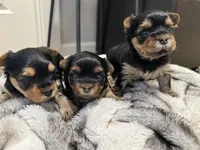 processed/742058a1-e17d-46f9-9e86-e82ef0ffad5e/facility/85571b65-0354-40f3-93a3-d088cb42d244