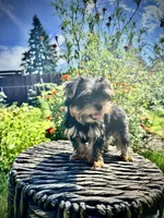 processed/742058a1-e17d-46f9-9e86-e82ef0ffad5e/facility/9b323dbf-1795-4a56-8514-b89ea1b2c4c8