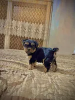 processed/742058a1-e17d-46f9-9e86-e82ef0ffad5e/facility/e4ea1159-33c4-4d90-bc3c-0c57673902b8