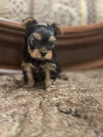 processed/742058a1-e17d-46f9-9e86-e82ef0ffad5e/facility/efb88e8e-14b8-4f52-a39c-4ef94d162b8f