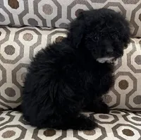 processed/74246410-7e0f-41ab-a788-b05473df8f71/listing/3f011015-b086-43d1-aff0-4f7830d1f495/0173e4e3-0ae8-4b98-b15a-7ae2987f1869