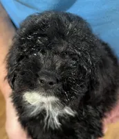 processed/74246410-7e0f-41ab-a788-b05473df8f71/listing/3f011015-b086-43d1-aff0-4f7830d1f495/2d4f6ede-ebf7-40fb-b9f3-a9d42faa1f48