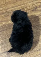 processed/74246410-7e0f-41ab-a788-b05473df8f71/listing/3f011015-b086-43d1-aff0-4f7830d1f495/ab023665-d15d-4be6-8bc1-b2353da1db33