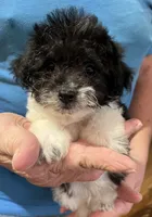 processed/74246410-7e0f-41ab-a788-b05473df8f71/listing/5a238745-2b0b-49cf-b516-158f8473a8d8/1b26ef26-50b6-44e5-ba8d-b6a902245d96