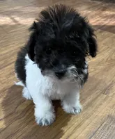 processed/74246410-7e0f-41ab-a788-b05473df8f71/listing/5a238745-2b0b-49cf-b516-158f8473a8d8/4d336376-f373-4639-9016-a13b76f87936