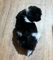 processed/74246410-7e0f-41ab-a788-b05473df8f71/listing/5a238745-2b0b-49cf-b516-158f8473a8d8/55bc7ec7-d4b7-4571-b6b7-75a318f92f9b