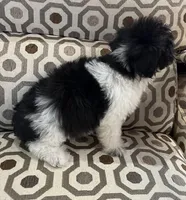 processed/74246410-7e0f-41ab-a788-b05473df8f71/listing/5a238745-2b0b-49cf-b516-158f8473a8d8/6d37362b-1eb0-47a9-86af-8398bfe7c4ba