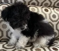 processed/74246410-7e0f-41ab-a788-b05473df8f71/listing/5a238745-2b0b-49cf-b516-158f8473a8d8/7a41e84b-91eb-4ceb-a205-3084576e1ca6