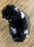 processed/74246410-7e0f-41ab-a788-b05473df8f71/listing/5a238745-2b0b-49cf-b516-158f8473a8d8/b589f38f-a946-4992-be02-4d331ef7649a