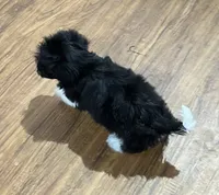 processed/74246410-7e0f-41ab-a788-b05473df8f71/listing/794af792-dca1-478e-9f7f-2d897dc757fb/20552ec1-45e9-42d8-a9c5-8858070f9755