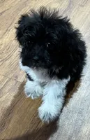 processed/74246410-7e0f-41ab-a788-b05473df8f71/listing/794af792-dca1-478e-9f7f-2d897dc757fb/5b4e0423-0eda-43c9-9ea8-d13011648225