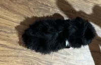 processed/74246410-7e0f-41ab-a788-b05473df8f71/listing/794af792-dca1-478e-9f7f-2d897dc757fb/7162e4dc-93bf-4f95-b53a-5563b441ac9d