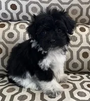 processed/74246410-7e0f-41ab-a788-b05473df8f71/listing/794af792-dca1-478e-9f7f-2d897dc757fb/ca80ba0b-cfb0-4d5e-a2f6-7395f3509ce2