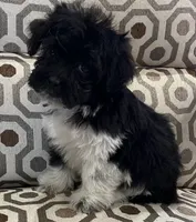 processed/74246410-7e0f-41ab-a788-b05473df8f71/listing/794af792-dca1-478e-9f7f-2d897dc757fb/cf80b10e-6dab-4da5-8b8f-92e98270f844