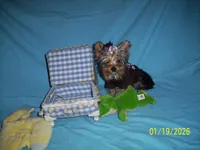 processed/74253b7d-6663-45f4-9efa-210905a2527c/listing/f75113a6-0703-4502-b06f-e566b2f71488/10ec5d28-a095-4b54-ab22-3a4c66cf7004