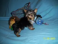 processed/74253b7d-6663-45f4-9efa-210905a2527c/listing/f75113a6-0703-4502-b06f-e566b2f71488/373f5843-8ece-408e-a01a-4ef3349fbb5f