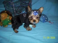 processed/74253b7d-6663-45f4-9efa-210905a2527c/listing/f75113a6-0703-4502-b06f-e566b2f71488/85637296-4e93-4050-92b6-a78b6d3b6884