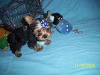 processed/74253b7d-6663-45f4-9efa-210905a2527c/listing/f75113a6-0703-4502-b06f-e566b2f71488/8741e329-2be5-482b-a4be-d9937e64460b