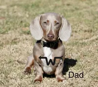 processed/74254d58-581b-4439-8aed-e24dedfb238d/facility/08134ef2-0574-4c49-a4c8-2455ed85543e