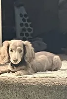 processed/74254d58-581b-4439-8aed-e24dedfb238d/facility/ce69d75a-6b85-4f89-abd3-704c7b22ce75