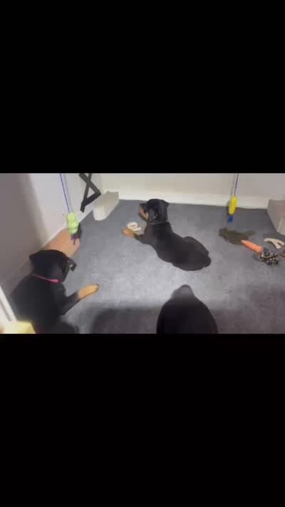 Facility video