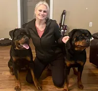 Black collar Pure German, a female Rottweiler for sale in Slidell, LA – 5 of 5