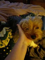 processed/743bc6d3-9a40-435f-92b6-1b54acec196d/listing/d85de106-cb2f-425a-966d-05089fca29f6/1faa1208-f7d1-42a5-ab54-da198a19c28f