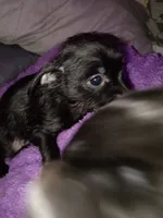 processed/743bc6d3-9a40-435f-92b6-1b54acec196d/listing/d85de106-cb2f-425a-966d-05089fca29f6/63f3b296-d002-4286-8d59-2017f71fe337