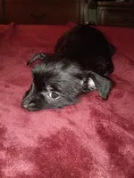 processed/743bc6d3-9a40-435f-92b6-1b54acec196d/listing/d85de106-cb2f-425a-966d-05089fca29f6/63f40089-cbf8-4093-a16b-03fbc9410036