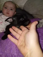 processed/743bc6d3-9a40-435f-92b6-1b54acec196d/listing/d85de106-cb2f-425a-966d-05089fca29f6/9a1b9335-bc31-45da-b82a-bc2a67e8dcdf