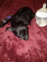 processed/743bc6d3-9a40-435f-92b6-1b54acec196d/listing/d85de106-cb2f-425a-966d-05089fca29f6/b29a3ff6-64d3-4060-9094-c9797f2fe7bf