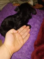 processed/743bc6d3-9a40-435f-92b6-1b54acec196d/listing/d85de106-cb2f-425a-966d-05089fca29f6/f8557555-8f75-48f9-84c3-8a417587c059