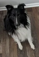 processed/743bdbe9-0782-4fb8-bd65-f3dde70931f6/listing/19f1052a-2d00-46f7-99d1-a09b0b99ebd7/6a8f2617-7128-41b3-a18b-1331f75f56cf