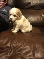 processed/744e7277-64a7-4af7-a13f-8ae8c2ba6709/facility/1a224a3c-a23b-4f58-87fd-88a51aae2dd0