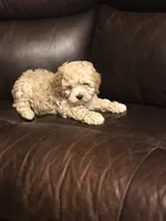 processed/744e7277-64a7-4af7-a13f-8ae8c2ba6709/facility/5018fd15-8dd1-4799-9644-e40f1d32fcdf