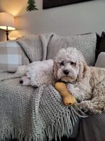 processed/744e7277-64a7-4af7-a13f-8ae8c2ba6709/facility/58970202-4f15-4b2a-8908-e3d1a46bfd23