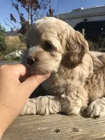 processed/744e7277-64a7-4af7-a13f-8ae8c2ba6709/facility/5d1fbd73-dc45-4aaf-a21d-ad168e93762f