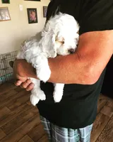 processed/744e7277-64a7-4af7-a13f-8ae8c2ba6709/facility/717c258c-bfb6-4160-836c-fb27cb6a0b3b