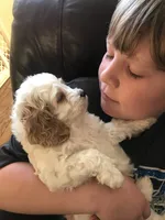 processed/744e7277-64a7-4af7-a13f-8ae8c2ba6709/facility/b80f6012-48fb-469a-b153-cdf6f16703ed