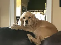 processed/744e7277-64a7-4af7-a13f-8ae8c2ba6709/facility/d248851b-5d50-42ce-93c2-9082dedef052