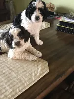 processed/744e7277-64a7-4af7-a13f-8ae8c2ba6709/facility/d2a3e57f-5f67-4236-8c4b-78704b80c809